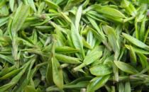 绿茶滋味排名 34种绿茶滋味比较
