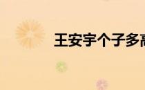 王安宇个子多高 王安宇多高 