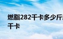 燃脂282千卡多少斤脂肪 一斤脂肪等于多少千卡 