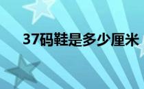 37码鞋是多少厘米 37码鞋是多少厘米 