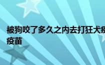 被狗咬了多久之内去打狂犬疫苗 被狗咬了多久之内要打狂犬疫苗 