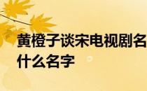 黄橙子谈宋电视剧名字 黄橙子谈宋电视剧叫什么名字 