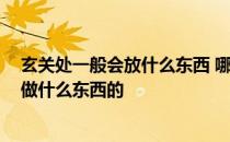 玄关处一般会放什么东西 哪位来说下玄关上放什么的 需要做什么东西的 