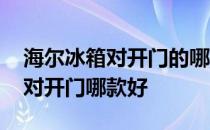 海尔冰箱对开门的哪款评价最好 我想问海尔对开门哪款好 