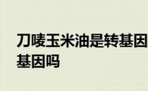 刀唛玉米油是转基因玉米吗 刀唛玉米油是转基因吗 