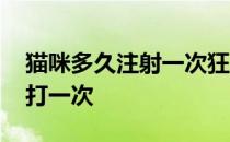 猫咪多久注射一次狂犬病疫苗 猫咪疫苗多久打一次 