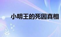 小明王的死因真相 小明王是谁的后代 