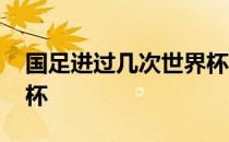 国足进过几次世界杯冠军 国足进过几次世界杯 