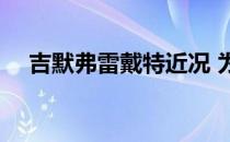 吉默弗雷戴特近况 为什么吉默弗雷戴特 