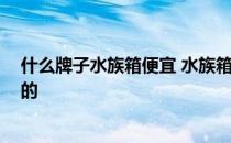 什么牌子水族箱便宜 水族箱哪个牌子比较好啊 价钱是多少的 