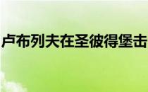 卢布列夫在圣彼得堡击败伊瓦什卡进入第二轮