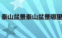 泰山盆景泰山盆景哪里卖的价格？谁更清楚？