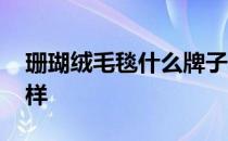 珊瑚绒毛毯什么牌子好 宠物毛毯珊瑚绒怎么样 