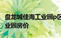 盘龙城佳海工业园p区房价多少 求告知佳海工业园房价 