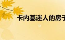 卡内基迷人的房子是被发现的宝藏