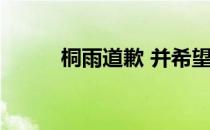 桐雨道歉 并希望此事将暂时解决