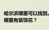 哈尔滨哪里可以找到人造花？想问一下哈尔滨哪里有装饰花？