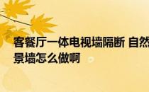 客餐厅一体电视墙隔断 自然分离餐厅和客厅 我家的电视背景墙怎么做啊 