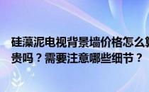 硅藻泥电视背景墙价格怎么算？客厅硅藻泥电视背景墙价格贵吗？需要注意哪些细节？