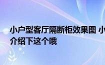 小户型客厅隔断柜效果图 小户型隔断柜怎么做比较好 谁来介绍下这个哦 