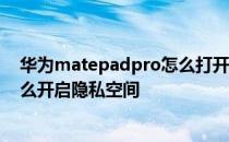 华为matepadpro怎么打开隐藏空间 华为MatePadPro怎么开启隐私空间 