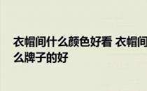 衣帽间什么颜色好看 衣帽间要怎么整理呢 白橡木衣帽间什么牌子的好 