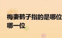 梅妻鹤子指的是哪位诗人 梅妻鹤子的诗人是哪一位 