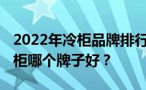 2022年冷柜品牌排行榜 谁知道家用双开门冷柜哪个牌子好？