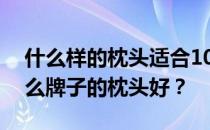 什么样的枕头适合10岁的孩子？给孩子买什么牌子的枕头好？