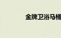 金牌卫浴马桶价格有多高？