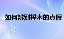 如何辨别榉木的真假 谁了解怎样鉴别榉木 