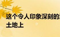 这个令人印象深刻的酒店坐落在超过3公顷的土地上