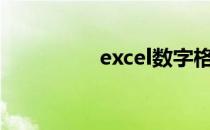 excel数字格式显示方法