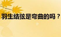 羽生结弦是弯曲的吗？为什么羽生结弦很热？