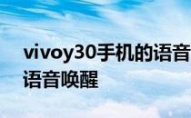 vivoy30手机的语音怎么唤醒 vivoy30怎么语音唤醒 