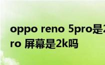 oppo reno 5pro是2k的屏吗 opporeno5pro 屏幕是2k吗 