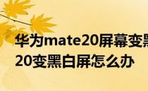 华为mate20屏幕变黑怎么调回来 华为mate20变黑白屏怎么办 
