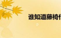 谁知道藤椅什么牌子好？