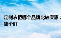 定制衣柜哪个品牌比较实惠 求大神说下整体衣柜和实木衣柜哪个好 