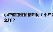 小户型物业价格如何？小户型的新户型物业怎么样？价格怎么样？