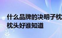 什么品牌的决明子枕头好 什么品牌的决明子枕头好谁知道 