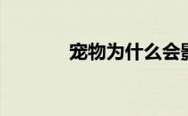 宠物为什么会影响住宅地产？