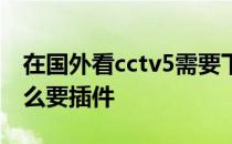 在国外看cctv5需要下载什么插件 cctv5为什么要插件 