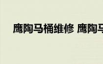 鹰陶马桶维修 鹰陶马桶价格知道的说下 