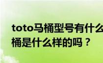 toto马桶型号有什么区别？有人知道toto马桶是什么样的吗？