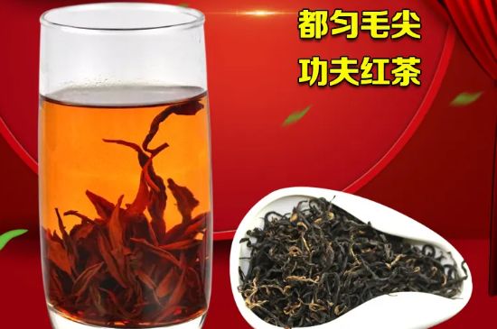 都匀毛尖红茶的简介，都匀毛尖红茶介绍