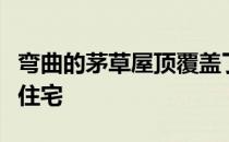 弯曲的茅草屋顶覆盖了越南森林中的建安社区住宅