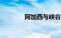 阿加西与峡谷资本地产合作