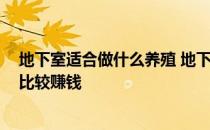 地下室适合做什么养殖 地下室养殖比较好 地下室养殖什么比较赚钱 