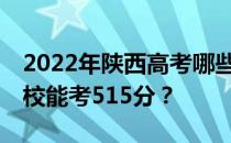 2022年陕西高考哪些高校能考515分 哪些院校能考515分？